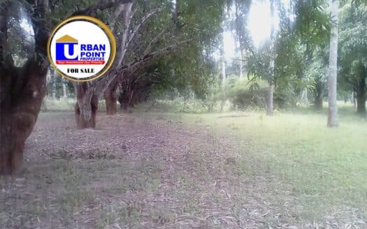 10 Acres in Mtwapa