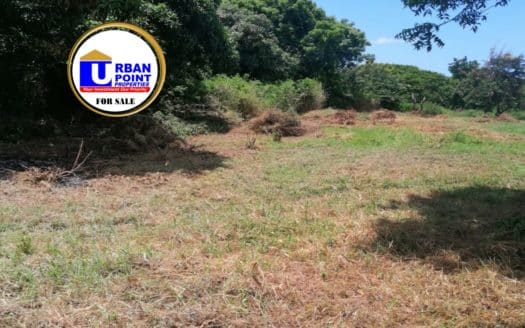 24 Acres  Prime Land in Kikambala