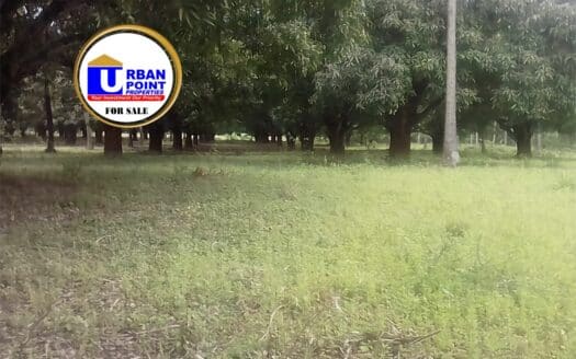 10 Acres in Mtwapa