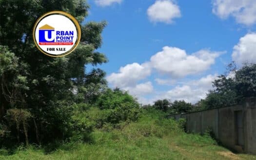 24 Acres  Prime Land in Kikambala