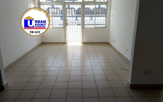 2 Bedroom Apartment in Kizingo