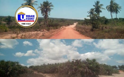 138 Acres Prime Land in Kwale