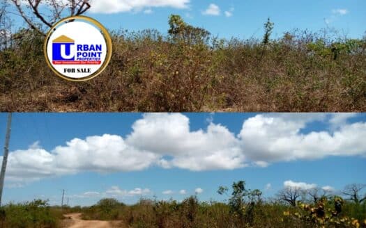 178 ACRES 2ND ROW FROM THE BEACH in Kwale Lunga Lunga Road