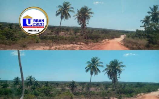 138 Acres Prime Land in Kwale