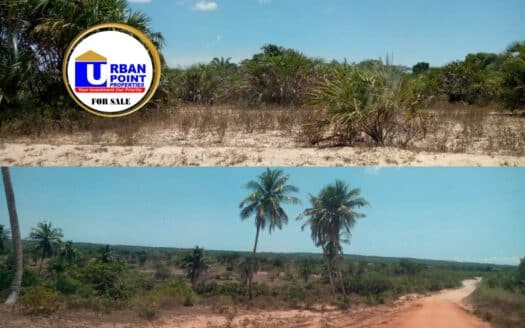 138 Acres Prime Land in Kwale