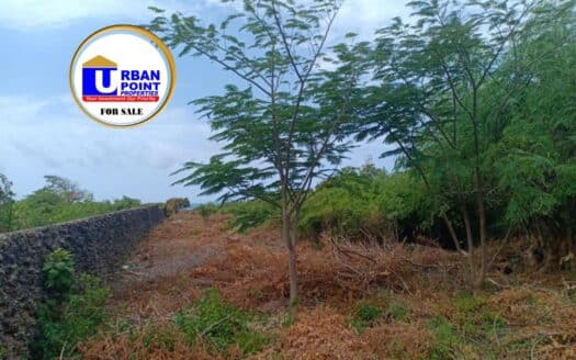 1 acre beach plot located along Casuarina Road near Billionaires Club in Malindi.