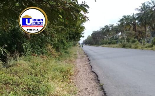 2 acres prime plot for sale, along Gede Watamu road.