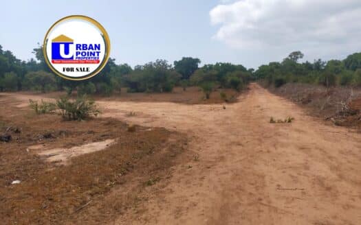 ¼ acre prime plots & ½ acre prime plots in Vipingo