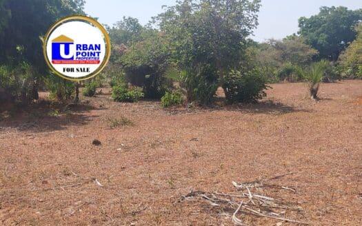 ¼ acre prime plots & ½ acre prime plots in Vipingo