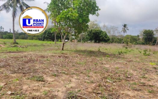 8 ACRES FOR SALE IN MTWAPA.