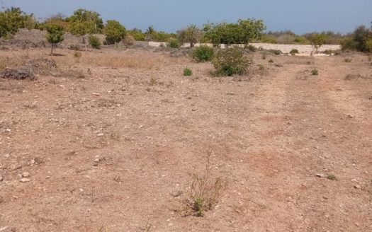 For sale 3.5 Acre Casuarina malindi.