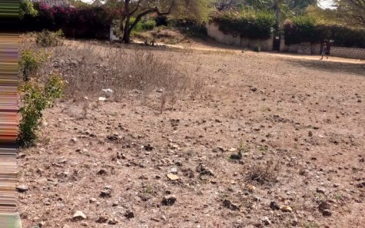 For sale 3.5 Acre Casuarina malindi.