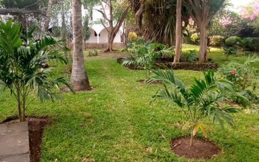 For sale 8 bedrooms house in Casuarina Malindi.