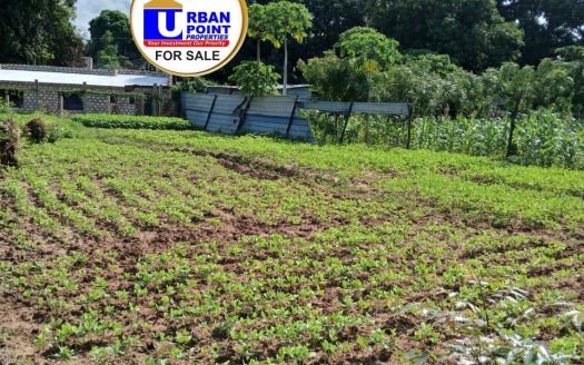 1/8 Acre  land in Utange, Mombasa for Sale