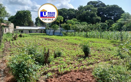 1/8 Acre  land in Utange, Mombasa for Sale