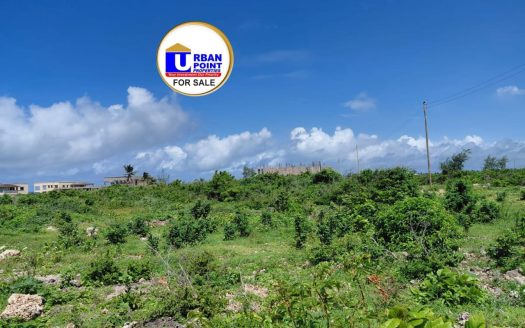 3 Acres Beach Plot for Sale in Jacaranda, Watamu  @KES66M