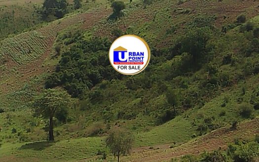 11.5 ACRES PRIME LAND FOR SALE – MTWAPA