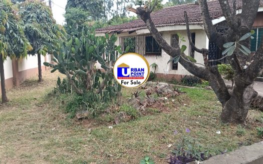 FOR SALE – Prime ¼ Acre Property with 3-Bedroom House | Old Nyali, Mombasa